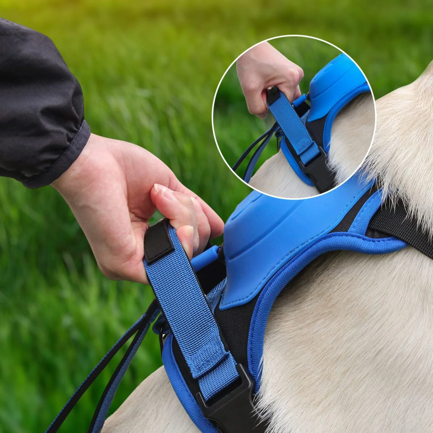 Dog Harness with Built-In Leash