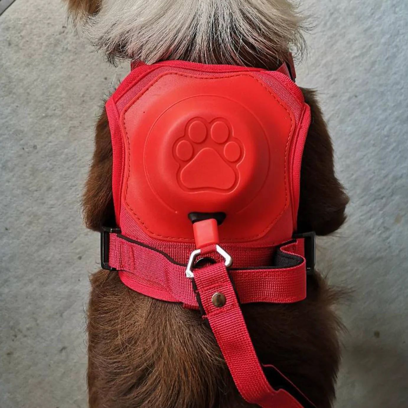 Dog Harness with Built-In Leash