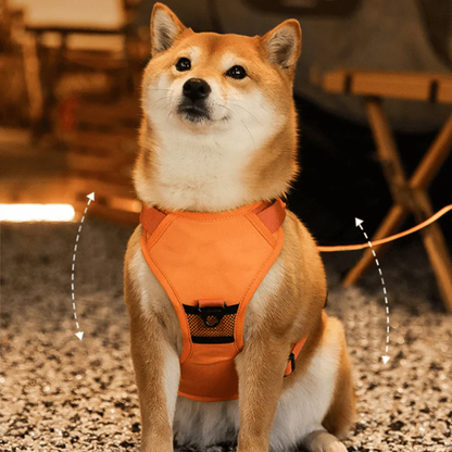 Dog Harness with Built-In Leash