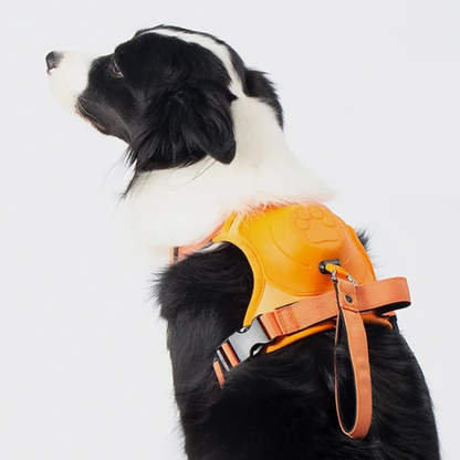 Dog Harness with Built-In Leash