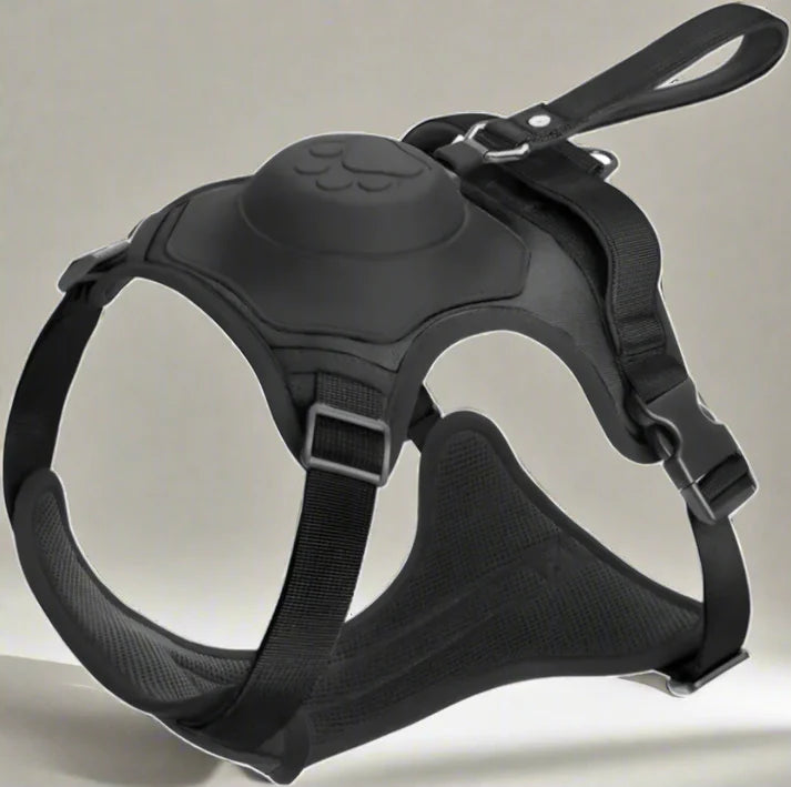 Dog Harness with Built-In Leash