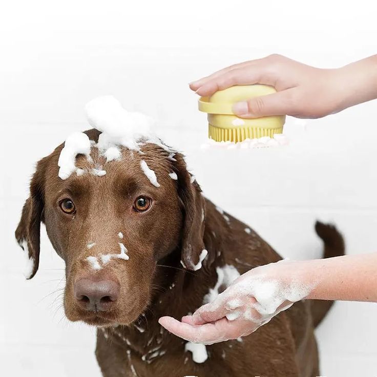 Dog Shampoo Brush