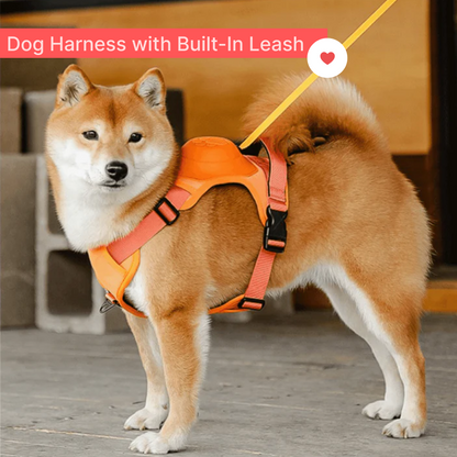 Dog Harness with Built-In Leash