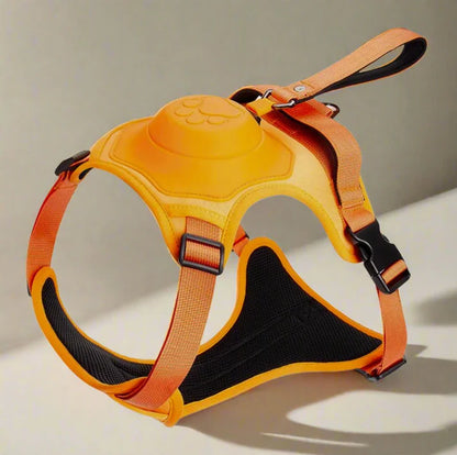 Dog Harness with Built-In Leash