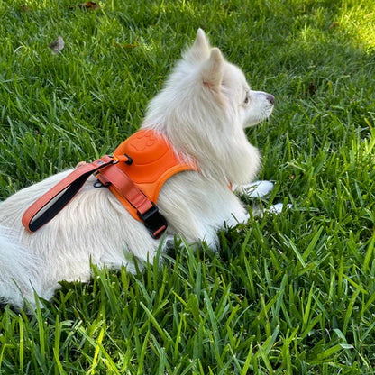 Dog Harness with Built-In Leash