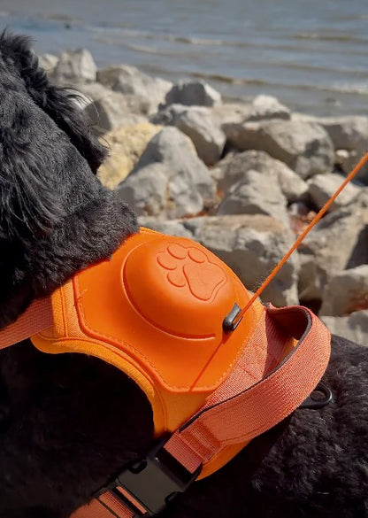 Dog Harness with Built-In Leash