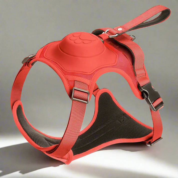 Dog Harness with Built-In Leash